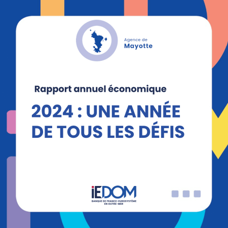 Rapport annuel économique 2024