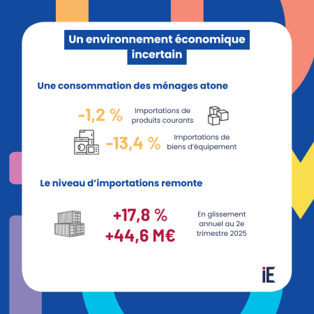 Consommation des ménages et importations
