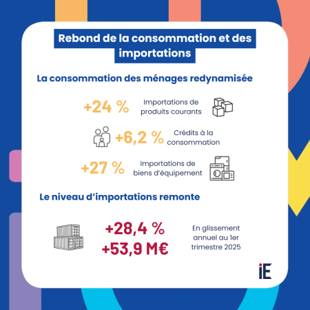 Consommation des ménages et importations