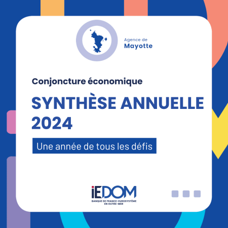 Synthèse annuelle 2024
