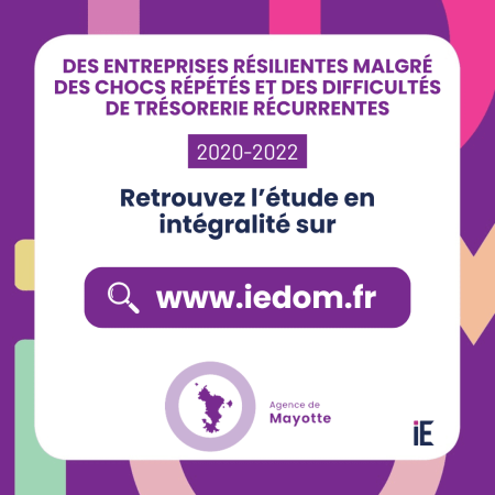 2020-2022 : Des entreprises résilientes malgré des chocs répétés et des (…)