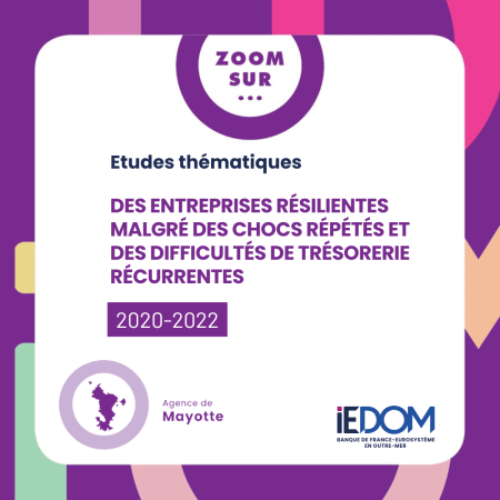 2020-2022 : Des entreprises résilientes malgré des chocs répétés et des (…)