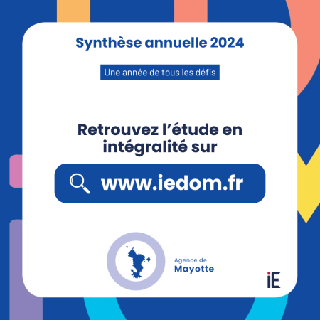Synthèse annuelle 2024