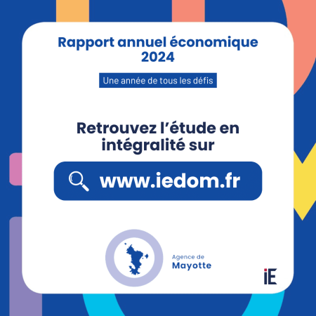 Rapport annuel économique 2024