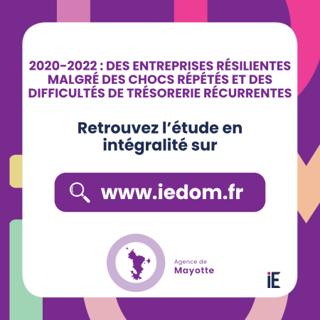 2020-2022 : Des entreprises résilientes malgré des chocs répétés et des (…)