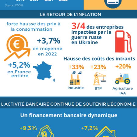 infographie_synthese_2022