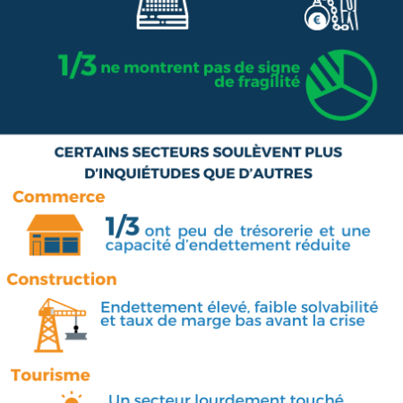 Infographie_marge_manoeuvre entreprises réunionnaises