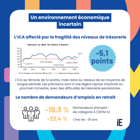 ICA et emploi