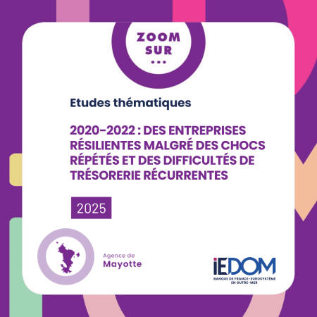 2020-2022 : Des entreprises résilientes malgré des chocs répétés et des (…)