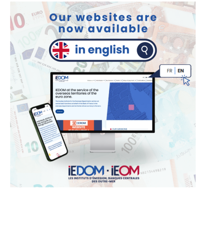 Nos sites désormais disponibles en version anglaise / Our websites now available in english !