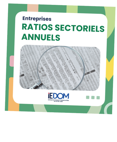 Les ratios sectoriels annuels de l'IEDOM sont en ligne !