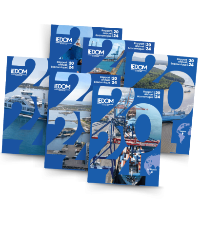Les rapports annuels économiques 2024 de nos agences sont en ligne !