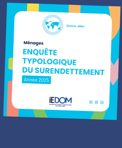 Consultez l'enquête typologique du surendettement dans les DCOM de la Zone Euro en 2025