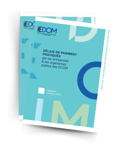 Le rapport annuel des délais de paiement pratiqués dans les DCOM est en ligne !