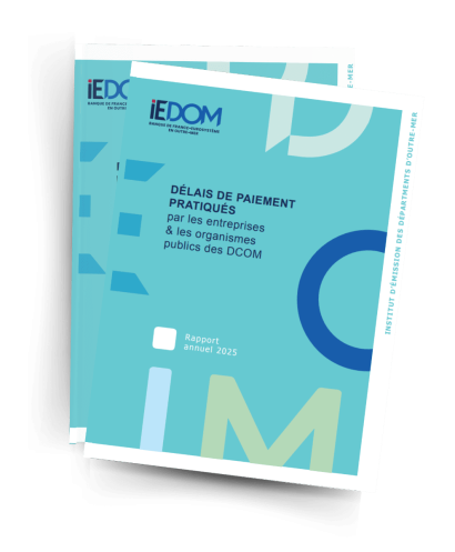 Le rapport annuel 2025 des délais de paiement pratiqués par les entreprises et les organismes publics des DCOM est disponible !