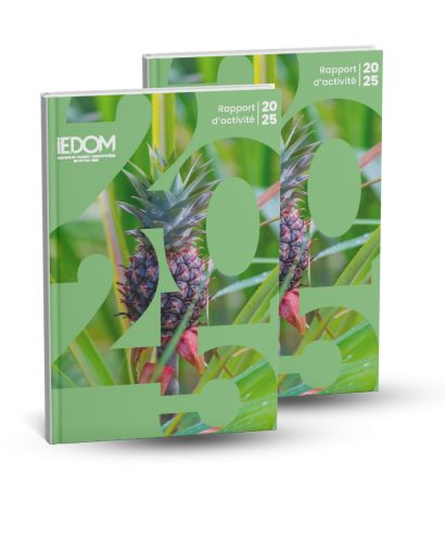Le rapport annuel 2025 est disponible !