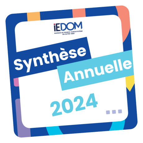 Retrouvez les synthèses annuelles 2024 de toutes les agences !