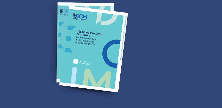 Le rapport annuel sur les délais de paiement pratiqués par les entreprises et les organismes publics dans les DCOM est disponible !