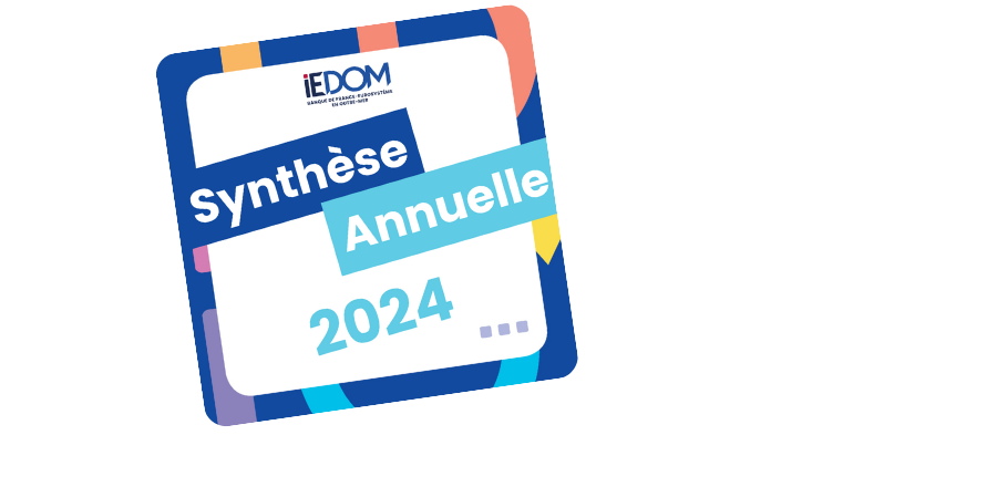  Découvrez les synthèses annuelles 2024 !